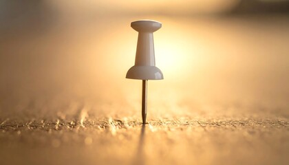 A close-up shot of a single white thumbtack on a wooden surface, bathed in warm sunlight