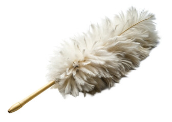 A feathered white duster  isolated on white background