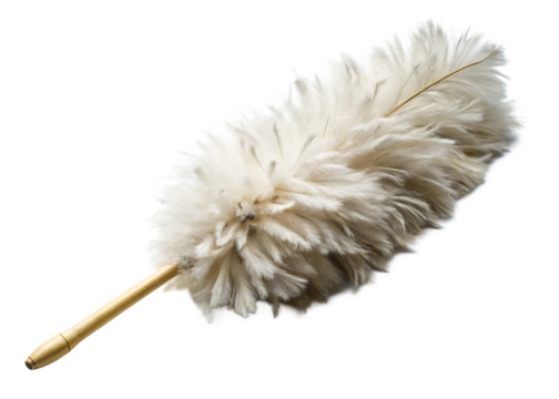 A feathered white duster  isolated on white background