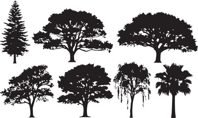 Fototapeta premium Beautiful silhouettes of various trees for your design projects, add nature's touch to your creations with this versatile collection