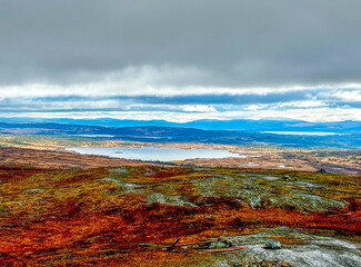 Storlien blomsterstigen mountain fall autumn Sweden Jamtland Norrland 6