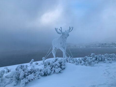 Ostersund city by winter, moose in snow in Sweden Norrland Jamtland 2