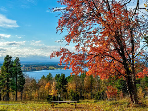 Froson island by fall autum view on Storsjon lake and bench