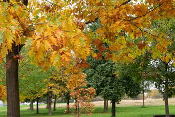 Automn Fall in germany