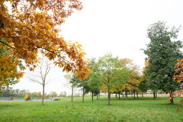 Automn Fall in germany