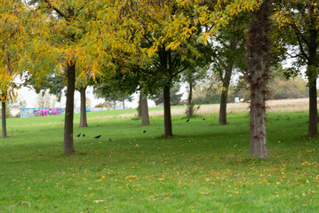 Automn Fall in germany