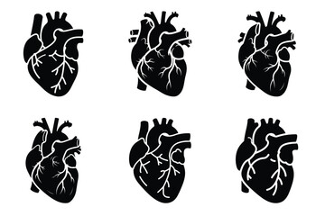 Heart anatomy silhouette vector icon set