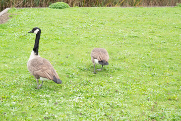 Automn Fall in germany