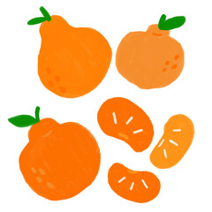 oranges illustration 