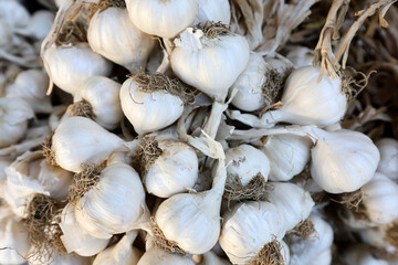 Closeup of fresh raw garlic presented at a an agricultural products fair.