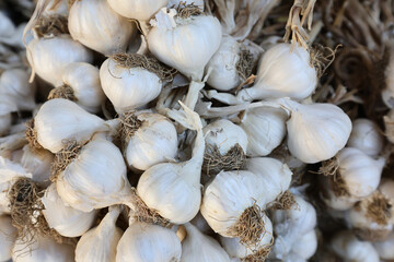 Closeup of fresh raw garlic presented at a an agricultural products fair.