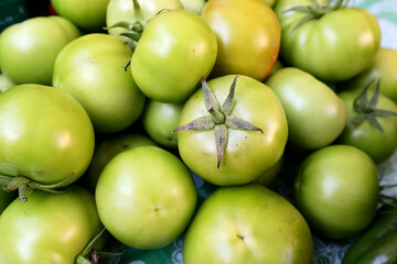 Fresh and appetizing tomatoes presented at a an agricultural products fair.