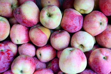 Fresh and appetizing apple presented at a an agricultural products fair.