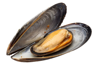 Mussel isolated on a transparent background.