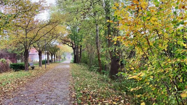 Jena, Germany walking path in autumn season