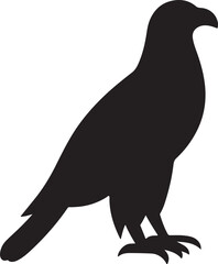 crow on a white background