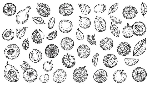 A monochrome illustration featuring numerous tropical fruits, leaves, and seeds, artistically sketched and scattered across the white backdrop