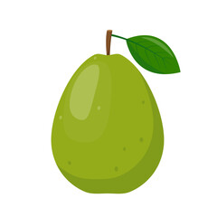 Green Guava fruit icon. Whole bright summer tropical fruit for healthy food. Exotic guava fruit Vector illustration isolated on white background.