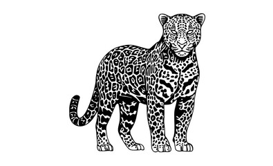 a stylized jaguar silhouette with a black and white patternanimal, black, illustration, jaguar, leopard, profile, stand, white 