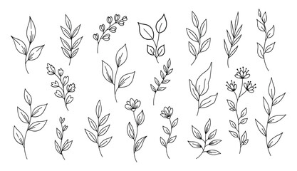 Fototapeta premium Collection of black line art botanical elements and floral sprigs on white background leaf leaves