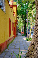 Fototapeta premium Red and Yellow Cultural Center Alongside Charming Shaded Street (Mexico City, Mexico)
