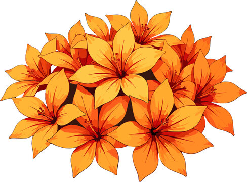 Orange marigold flowers close-up