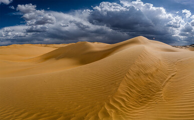 The Gobi Desert is a large desert or brushland region in East Asia