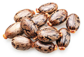 Bean-shaped, mottled, glossy castor oil seeds on white background. File contains clipping paths.