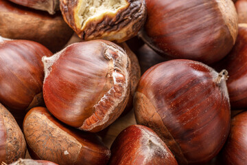 Edible sweet chestnuts with roasted chestnut.
