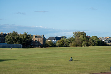 man in a scottish field