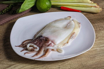 Raw fresh cuttlefish for cooking