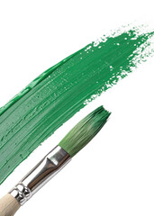  a brush stroke of green paint isolated on a white