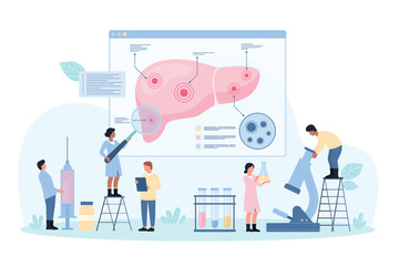 Hepatitis, hepatic disease vector illustration. Cartoon tiny doctors study science infographic diagram with magnifying glass, human liver and warning signs with viruses on medical digital chart