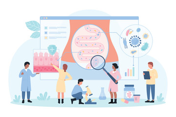 Gut microbiome research vector illustration. Cartoon tiny people with magnifying glass check health of digestive tract and intestinal barrier for microbiota on infographic diagram of colon structure
