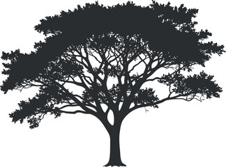 Obraz premium A detailed silhouette of a tree showcasing its expansive branches and foliage.