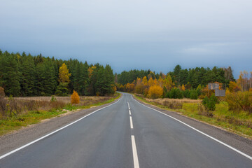 Autumn landscape, asphalt road stretching into autumn bright forest. A forest consisting of green pines and deciduous trees with yellow leaves. High quality photo