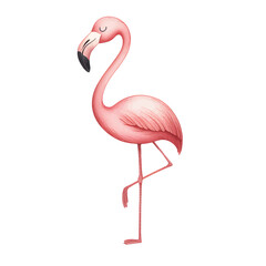 Fototapeta premium Graceful pink flamingo standing in elegant watercolor art. Minimal flamingo watercolor clipart for nursery and decor.