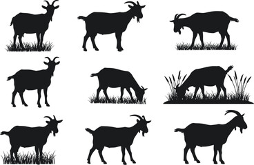 Goat silhouette vector set, grazing goat poses, black farm animal icons, livestock illustration, countryside wildlife, horned goat shapes, nature elements included
