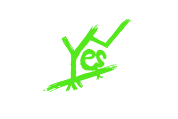 Green handwritten yes text isolated on transparent background