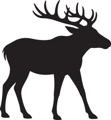 Majestic stag walking with large antlers deer animal