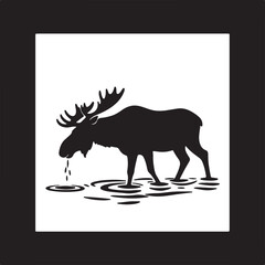 Moose drinking water ripples animal wildlife