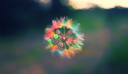 Abstract explosion of vibrant rainbow colors radiating outwards from a central point against a blurred green background