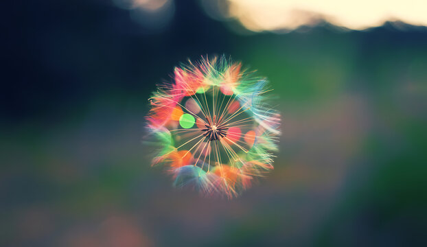 Abstract explosion of vibrant rainbow colors radiating outwards from a central point against a blurred green background