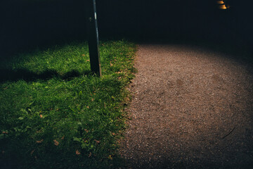 Night Pathway with Grass and Light Contrast