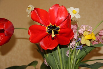 A colorful bouquet of mixed spring flowers in front of a golden-brown wall
