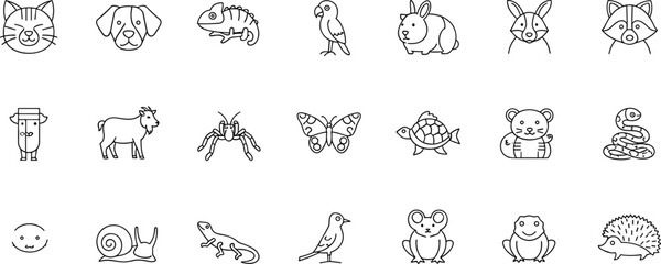 Fototapeta premium Cartoon animal icons, cat, dog, rabbit, fox, raccoon, cow, goat, bear, turtle, frog, lizard, snake, spider, butterfly, bird, mouse, hedgehog, chameleon, parrot, cad drawing flat vector illustration
