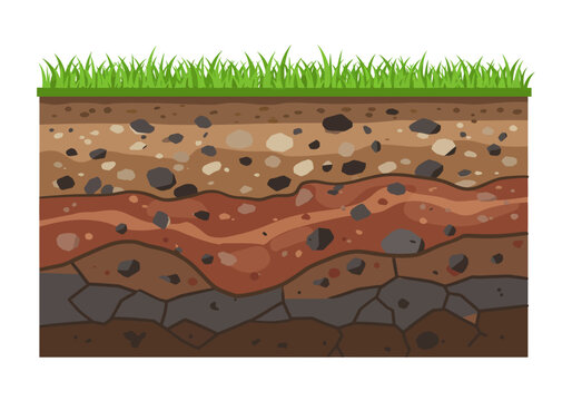 Soil Layers with Grass: A Cross-Sectional View of Earths Composition.