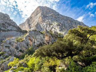 Gorropu gorge in Sardinia island, Italy