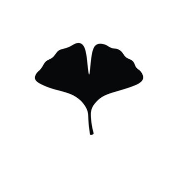 Ginkgo Leaf Silhouette &ndash; Fan Shaped Minimal Vector
