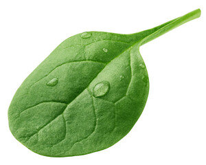 Spinach isolated, full depth of field